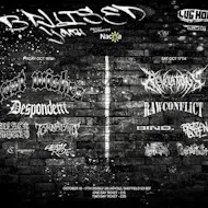 Bruised youth fest 2 day ticket at The Lughole, Sheffield