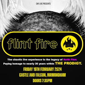Flint Fire