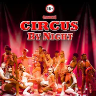 Gandeys Circus By Night Halifax at National Children's Museum Overflow Car Park, HX1 2NE