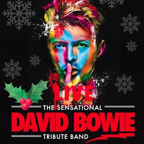 The Sensational David Bowie Tribute Band - Christmas Special