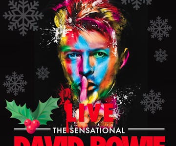 The Sensational David Bowie Tribute Band - Christmas Special