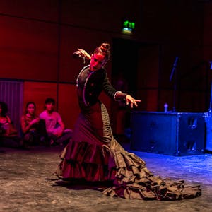 Flamenco Dance - Feel Good Festival 2024