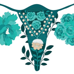 The Science of Polycystic Ovary Syndrome