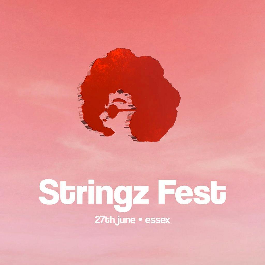 Stringz Fest at Damyns Hall Aerodrome