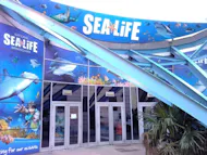 Sea Life Birmingham + Warwick Castle at Sea Life 
