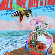 All we need is a Beach! at Ramona