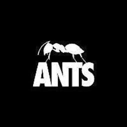 Ants Tickets | Ushuaia Ibiza Beach Hotel Eivissa  | Sat 24th August 2024 Lineup