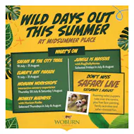 Summer in the City at Midsummer Place