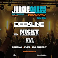 Jungle Cakes - Hastings - Blackbox at Blackbox, Hastings