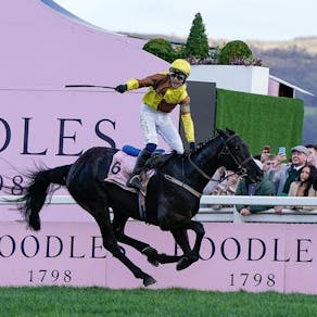 2026 Cheltenham Festival Preview Night