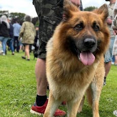 K9 Party in the Park at Manor Heath Park