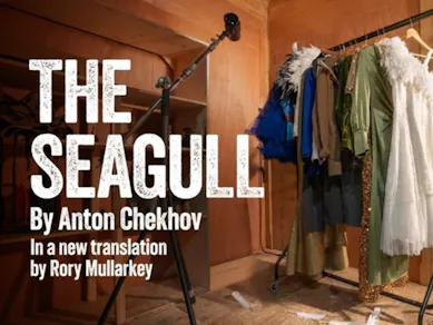 The Seagull