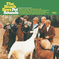 Immersive Music Club presents Pet Sounds by The Beach Boys at Winmarleigh House
