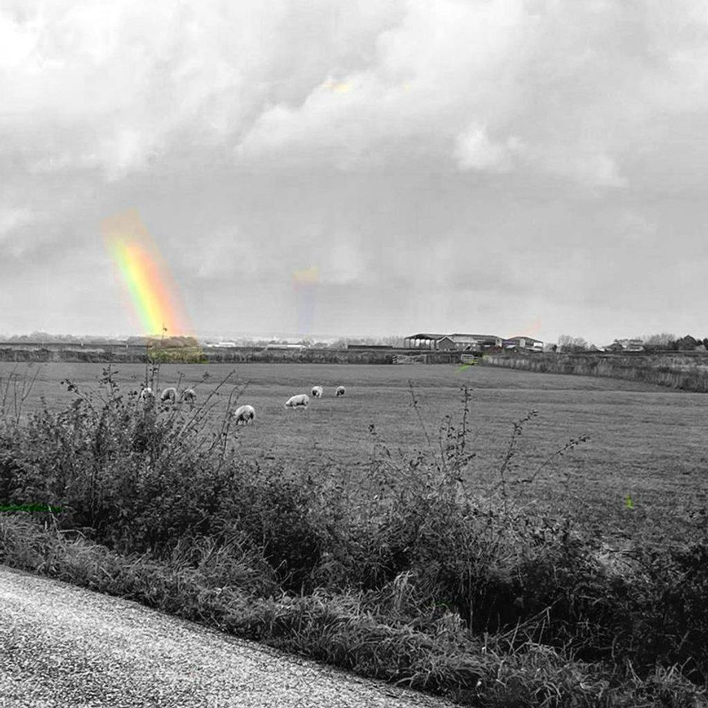 The Nebraska Tour - A Tribute at The Continental