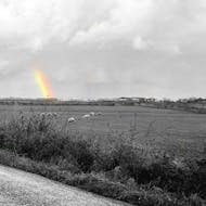 The Nebraska Tour - A Tribute at The Continental