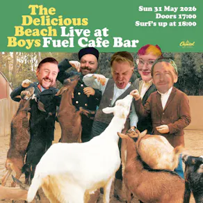 Delicious Beach Boys - live!