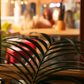 Roof Garden Open - BYOB (bring your own booze!)