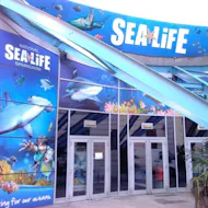 Sea Life Birmingham + Warwick Castle at Sea Life