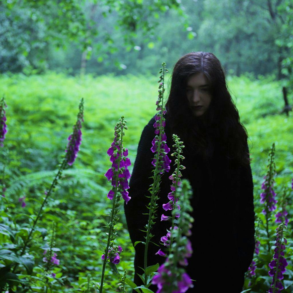 Weedipus - Album Launch at Vault 27