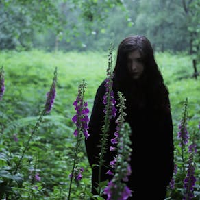 Weedipus - Album Launch