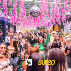Sulco in the garden at 54 LIVERPOOL