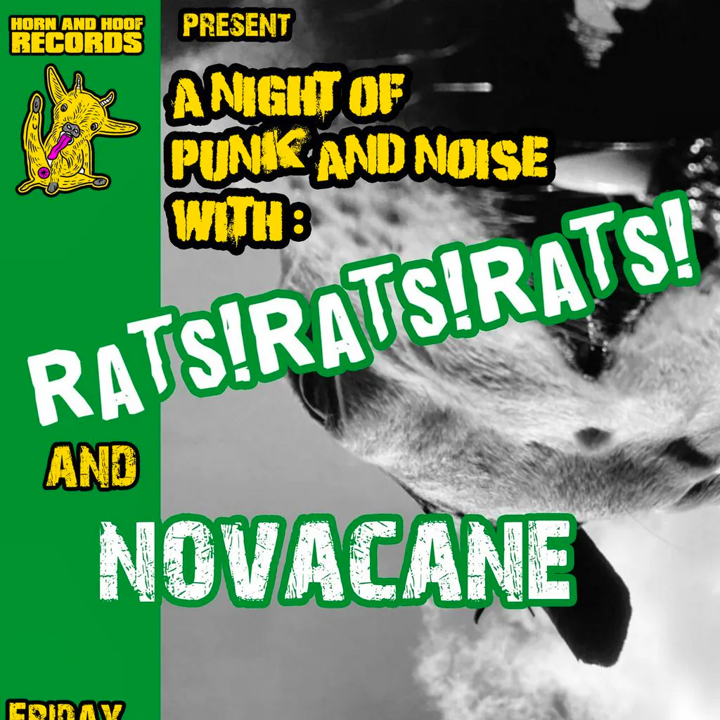 Punk Rock At The Blossoms at The Blossoms