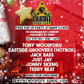 Audio garden presents the Mapps café Christmas party