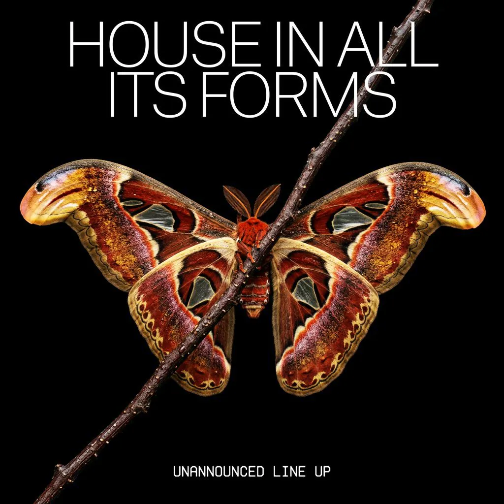House In All Its Forms (Unannounced Line Up) at Amber's