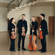 Novo String Quartet at Norden Farm Centre For The Arts.