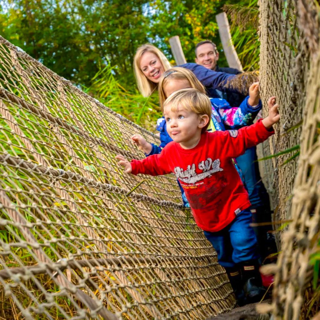 May Half Term at WWT London Wetland Centre