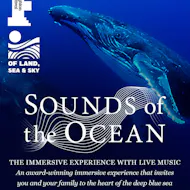 Sounds Of The Ocean at The Old Market