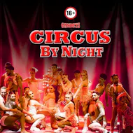 Gandeys Circus By Night Aintree at Aintree Racecourse