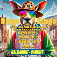 Dingo Bingo at Walkabout Cardiff