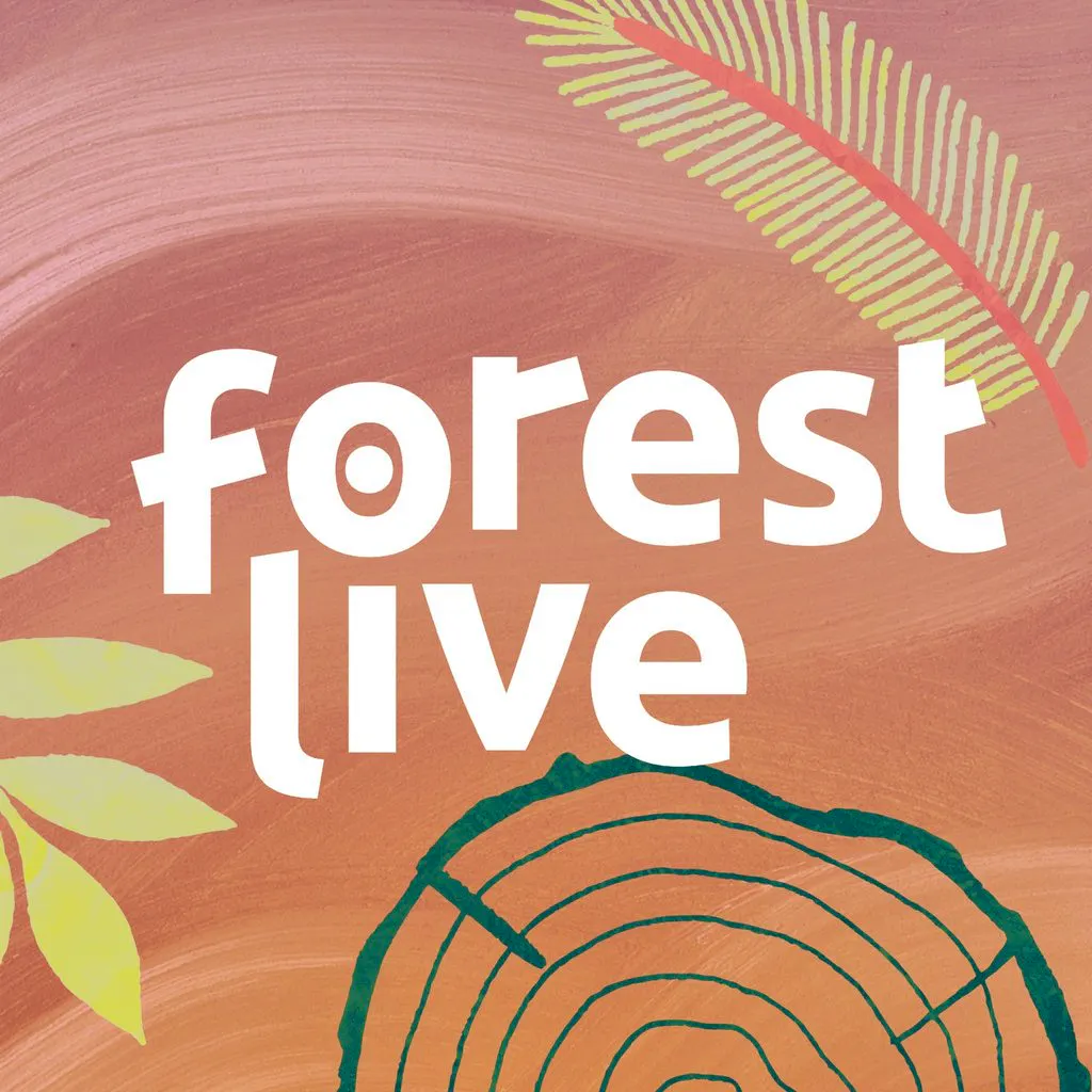 Forest Live - Cannock Chase Forest at Cannock Chase Forest