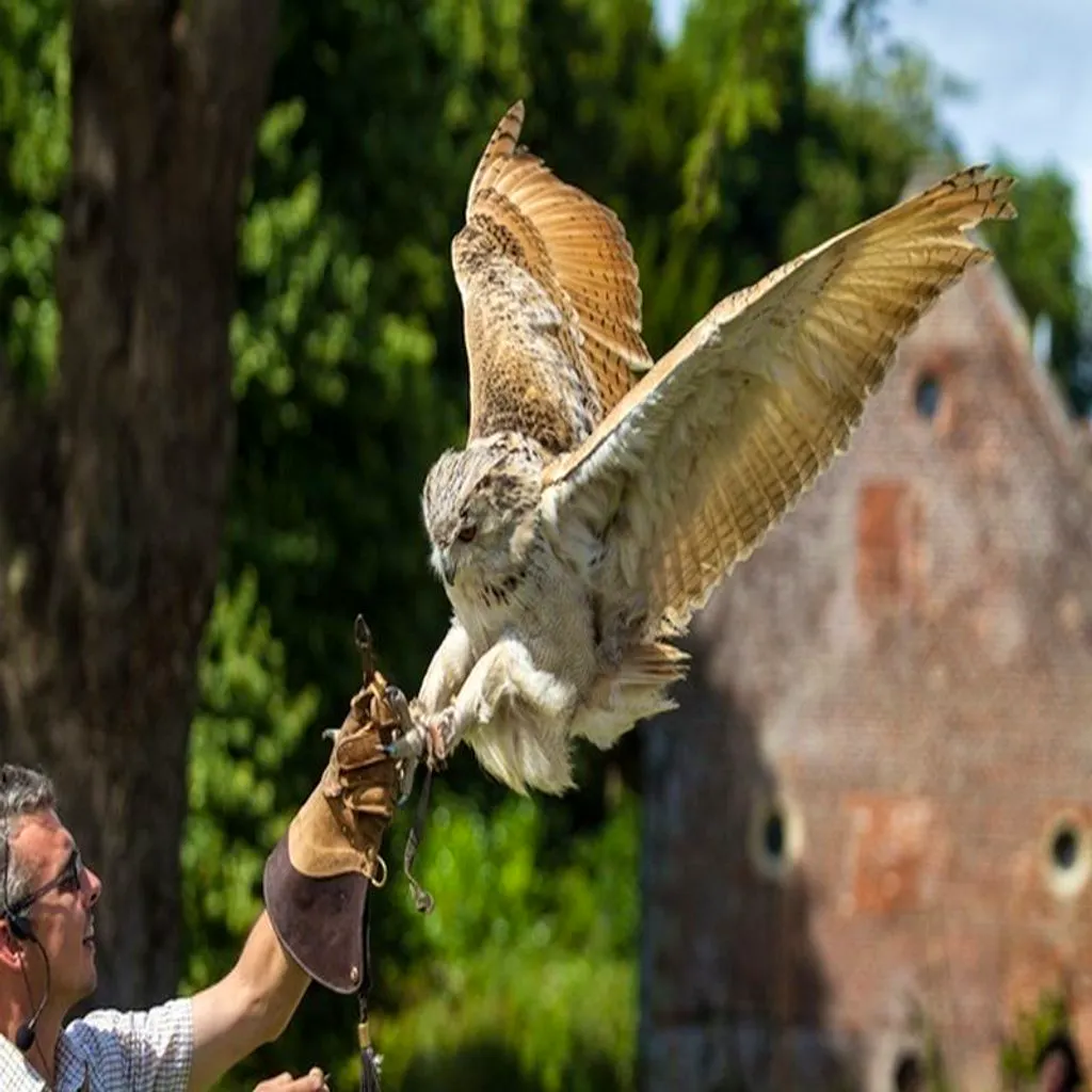 Great Dorset Chilli Festival at Stock Gaylard