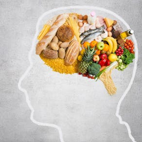 The Gut-Brain Connection: Nourish Your Mind, Body, & Microbiome