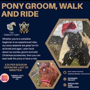 Christmas Pony Walk, Groom and Ride