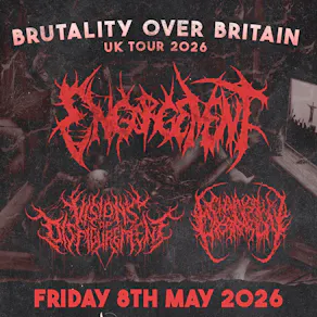 Engorgement / Visions of Disfigurement / Chainsaw Castration