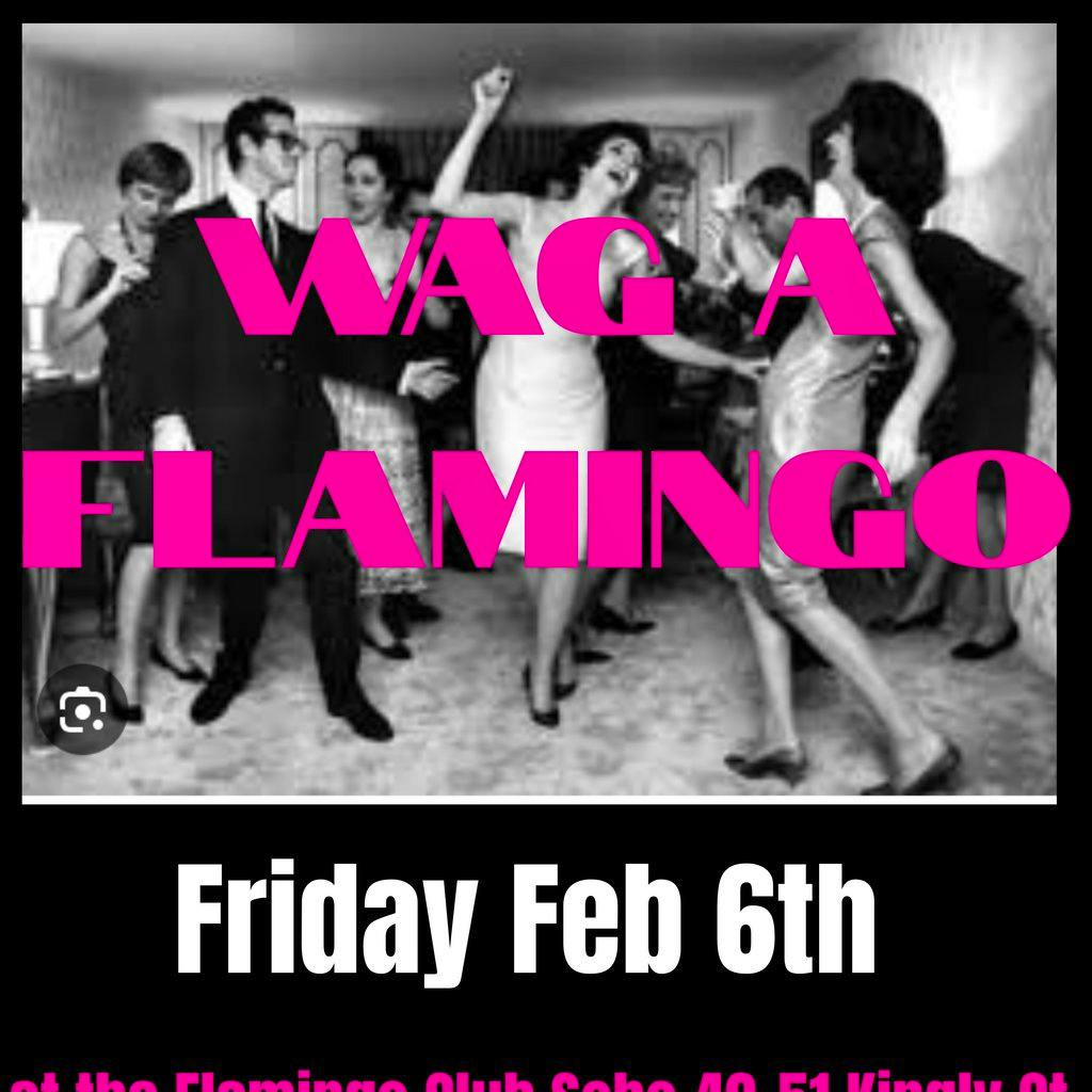 Wag a Flamingo at The Flamingo Soho