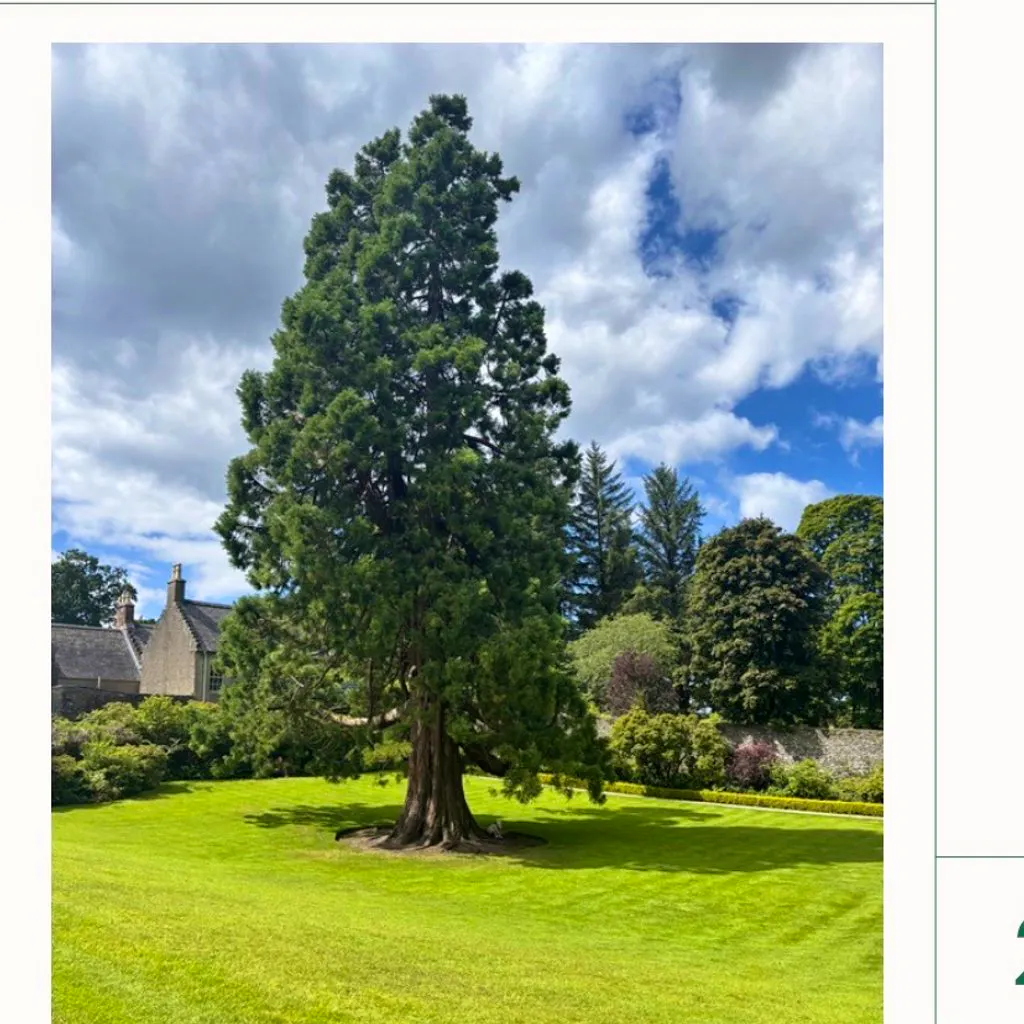 Walk & Talk with author Leonie Charlton at Geilston Gardens