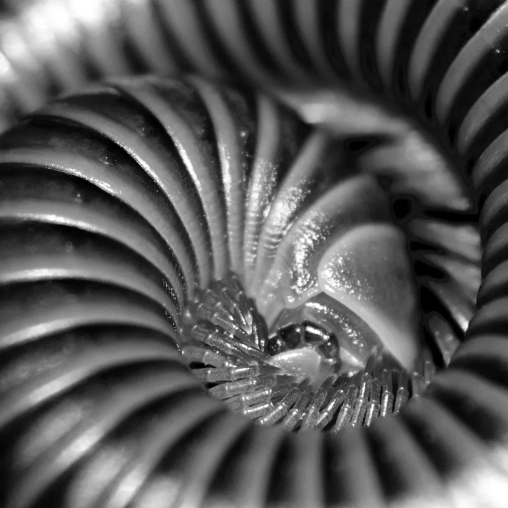 Patterns Photography Exhibition at Bray House, Ascot House And Osprey House