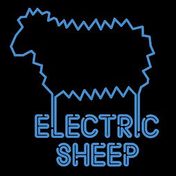 Electric Sheep Tickets | Peterlee Central Club Peterlee  | Fri 10th May 2024 Lineup