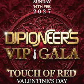 DJ Pioneer's VIP Gala: Valentine's Day 2027
