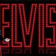 Mark Green as Elvis at The Rhodehouse