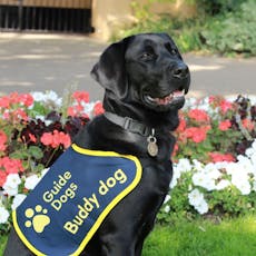 In aid of guide dogs for the blind at Stand Road Park