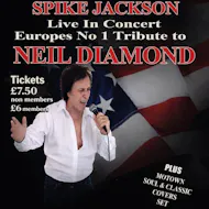 Neil Diamond Tribute at The Quarry Club
