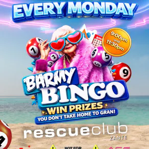 Barmy Bingo