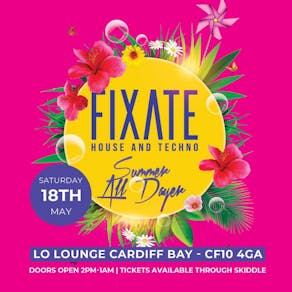 Fixate Summer All Dayers