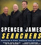 The Searchers Experience
