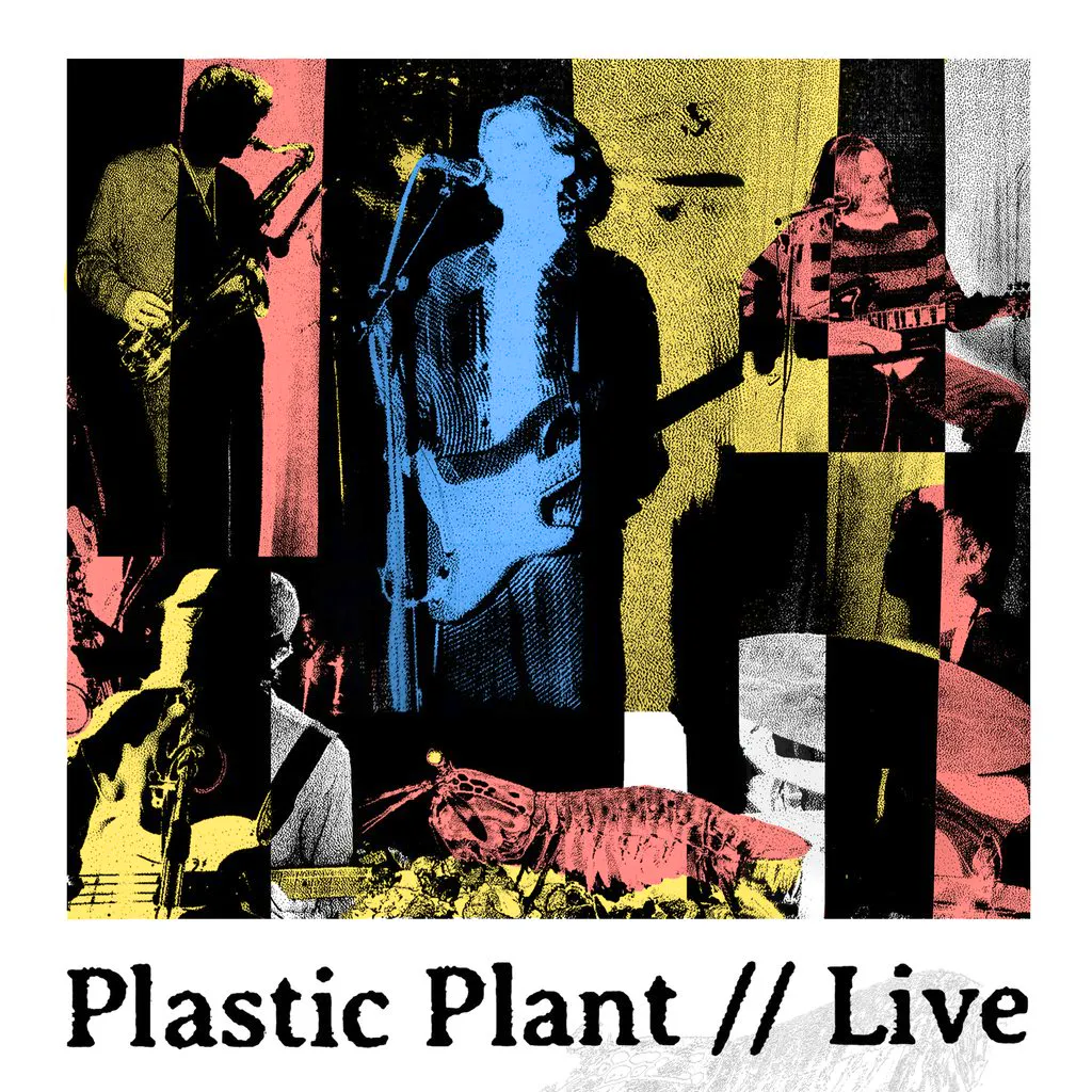 Plastic Plant at Night And Day Cafe